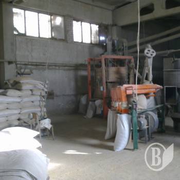 ����� �������� �������� �������