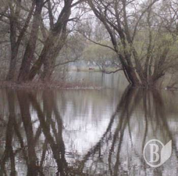 ����� �� �����������: �������, �����, ��'����, �����