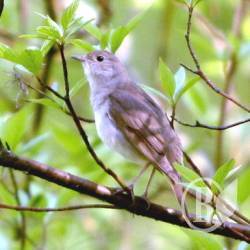 ��������� � ������ �� ����, �� ����... ��������