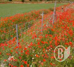 ��� ����� �����. �� 10 ����