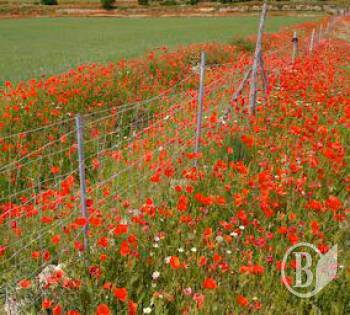 ��� ����� �����. �� 10 ����