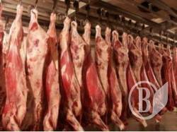 ͳ������ �'��� �� ���������� �� ���������