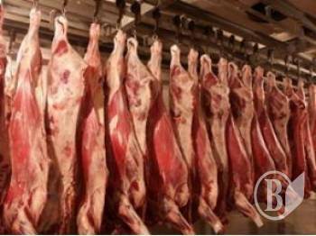 ͳ������ �'��� �� ���������� �� ���������