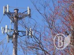 ��� ���������� �� 53 ����� �������