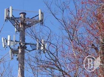 ��� ���������� �� 53 ����� �������