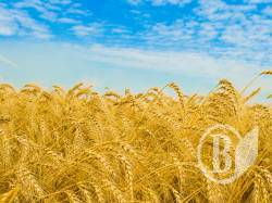 ����� ᒺ �� ������ ����� ���� ����� ��������� ������ ��������� ��� �� �������������