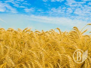 ����� ᒺ �� ������ ����� ���� ����� ��������� ������ ��������� ��� �� �������������