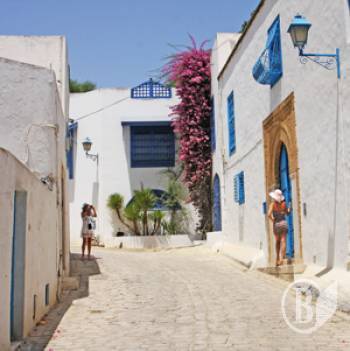 �����: ���� ���� -  ѳ�-��-���. ����