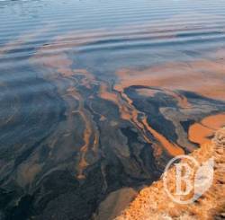 ����������� ��� �������: ���� ������� � �������� � 7-12 ���� �������� ����������