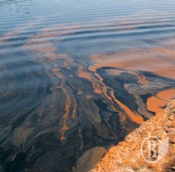 ����������� ��� �������: ���� ������� � �������� � 7-12 ���� �������� ����������