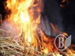  ѳ����� �� �����������