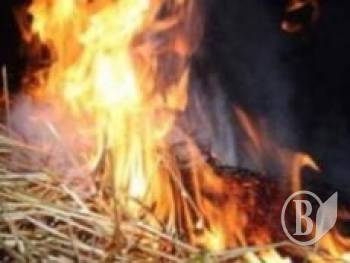  ѳ����� �� �����������