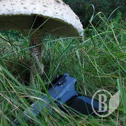 ��� �� ������������ �������� ������ 14-������