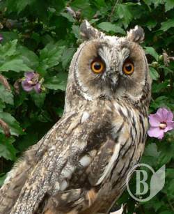 ���� � ��������