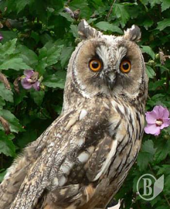 ���� � ��������