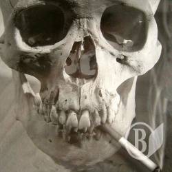 ���� �������� ����� ����