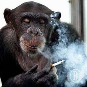 ��������� ������ � 4,2 �� �������