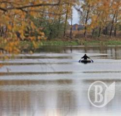 �����. ���� ���