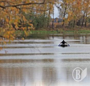 �����. ���� ���