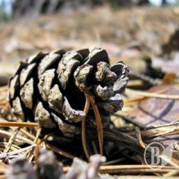 ĳ�������� ��������������� � ����������� ������ � ������ 2011