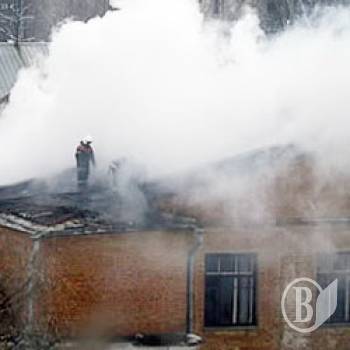 81-���� �������� ����� ����