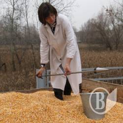 ����������� ����� � ���� � ������������������ �� �����������