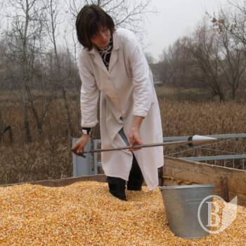 ����������� ����� � ���� � ������������������ �� �����������