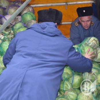 � ������ ������� ������ �����. ����