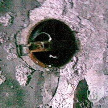 ����� ��������� ��������� ������ 31-���� ������