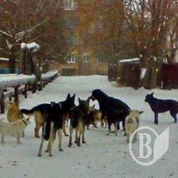 � ��� ����������� ����