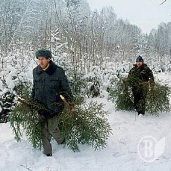 ��������� �����: �������� � �����������