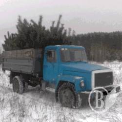 ϳ������ �������� ��������� ������ �� �����������