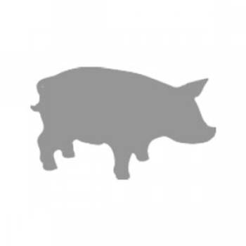 ˳�� ������� ���� ��� �������?