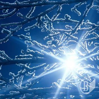 ϳ������� ������ ������ ���������� ����