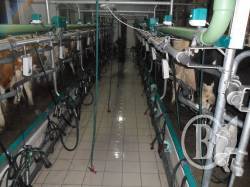 �� ������ ����������� ����������� ���� ������� �����