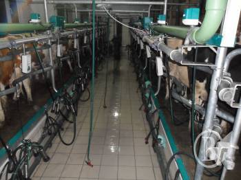 �� ������ ����������� ����������� ���� ������� �����