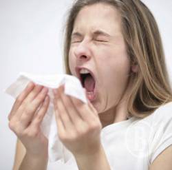 �����������: ����� ����. ������������� 198 �����������