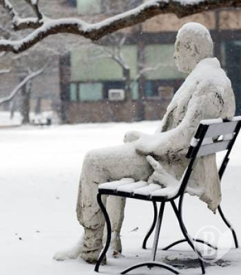 �� ���� ����� �� ������. 5 �������������