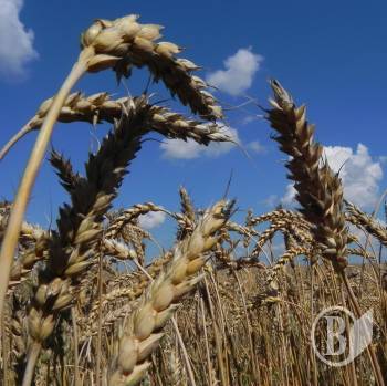 �� ����� � ����� ����������� ����� � ������