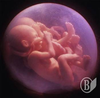 ����������� ������ � �������� - ��������� � ��������