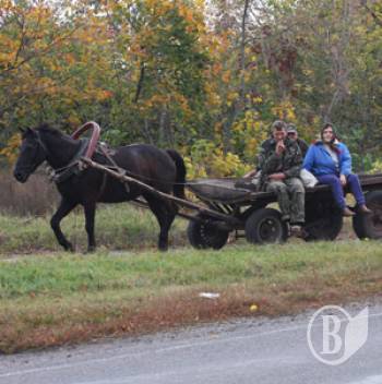 ��������� ������������� �� ���������