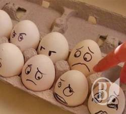  ����������������: ֳ�� �� ���� - �����������