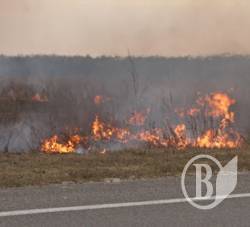 ������ ����� �� �����������