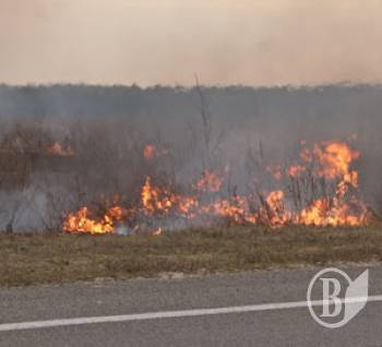 ������ ����� �� �����������