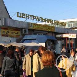 � �������� ������ 15 �����