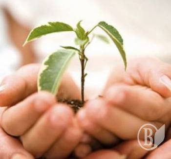  ��������� ����� ³���������� ��������