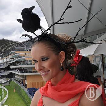 ��� ����������� ������� ��������� �� ��� ����-����������� (�����)