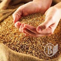 ����� ���-�� ����� ����� ����� ������������, �� ��� - ����������