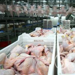 ������ �������? ��� �������� � �������!