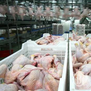 ������ �������? ��� �������� � �������!